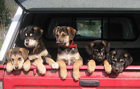 Kinder von Jola, 2003